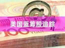 美国蓝筹股追踪