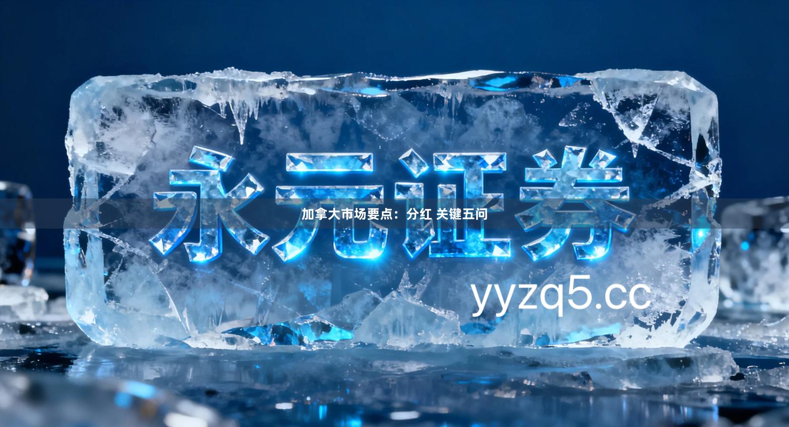 加拿大市场要点：分红 关键五问